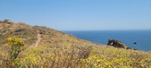 Enlarge photo 100