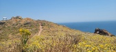Enlarge photo 102