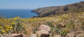 Enlarge photo 103
