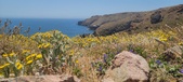 Enlarge photo 104