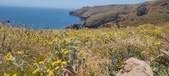 Enlarge photo 105