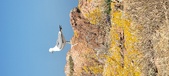 Enlarge photo 107