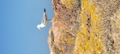 Enlarge photo 108