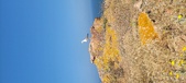 Enlarge photo 109