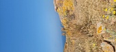 Enlarge photo 112