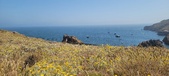 Enlarge photo 113