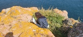 Enlarge photo 119