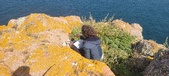 Enlarge photo 122