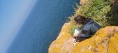 Enlarge photo 129