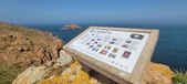 Enlarge photo 130