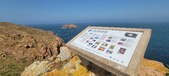 Enlarge photo 131