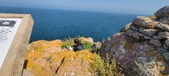 Enlarge photo 136