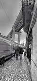 Enlarge photo 35