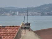 Enlarge photo 80