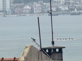 Enlarge photo 79