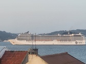 Enlarge photo 74