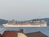 Enlarge photo 72