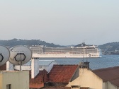 Enlarge photo 67