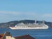 Enlarge photo 115