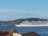 Enlarge photo 113