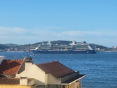 Enlarge photo 105