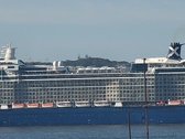 Enlarge photo 97