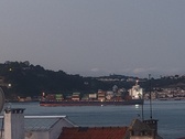 Enlarge photo 154
