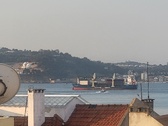 Enlarge photo 149