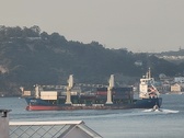Enlarge photo 145