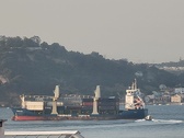 Enlarge photo 144