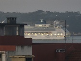 Enlarge photo 135