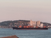 Enlarge photo 183