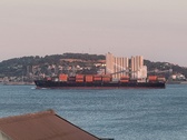 Enlarge photo 182