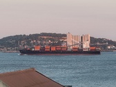 Enlarge photo 181