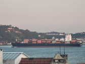 Enlarge photo 177