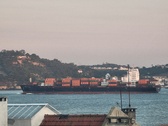 Enlarge photo 176