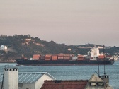 Enlarge photo 174