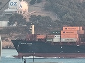 Enlarge photo 172
