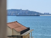Enlarge photo 265