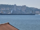 Enlarge photo 264