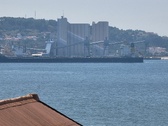 Enlarge photo 263