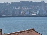 Enlarge photo 259