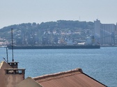 Enlarge photo 260