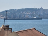 Enlarge photo 256