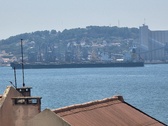Enlarge photo 255