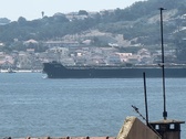 Enlarge photo 251
