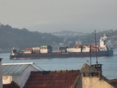 Enlarge photo 242