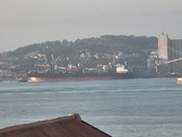 Enlarge photo 241