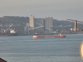 Enlarge photo 240