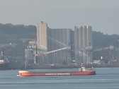 Enlarge photo 236